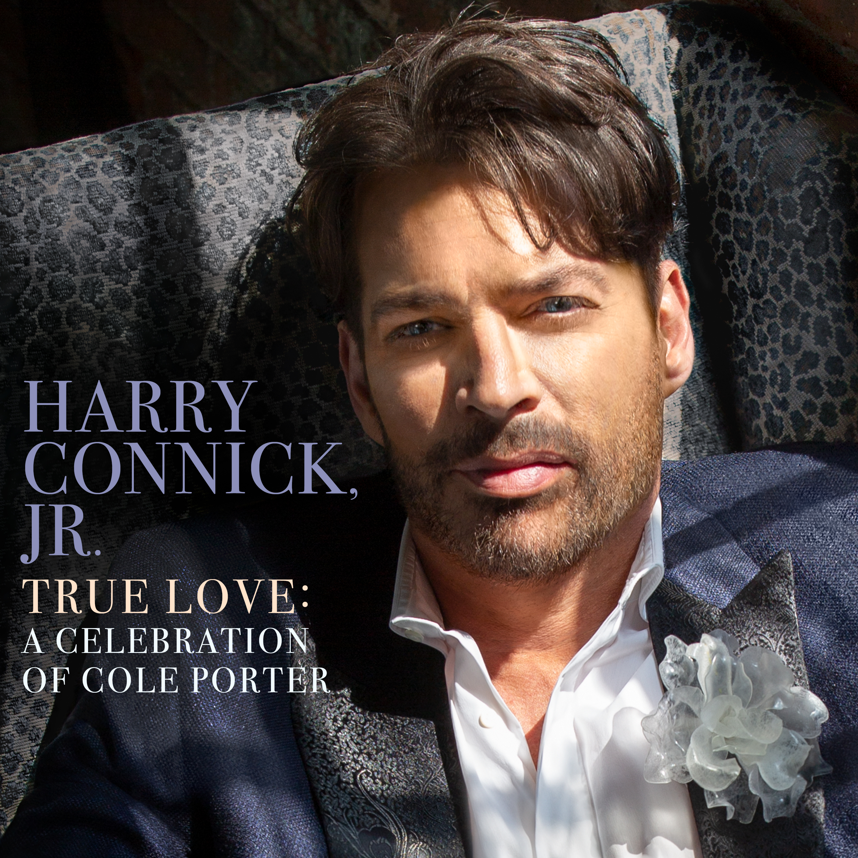 Harry Connick Jr Announces New Album True Love A Celebration Of Cole